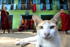 MYANMAR-RELIGION-MONASTERY